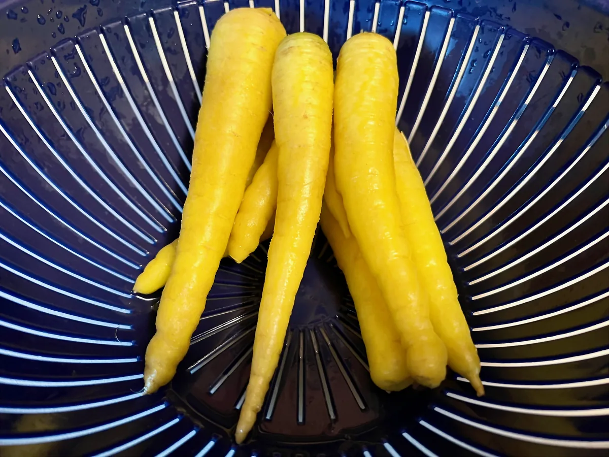 Amarillo Yellow Carrots