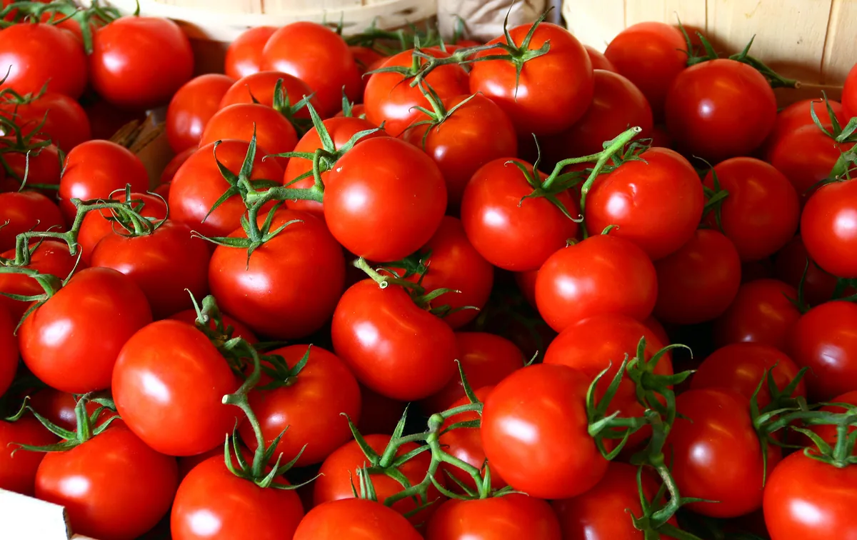 Atkinson Tomatoes