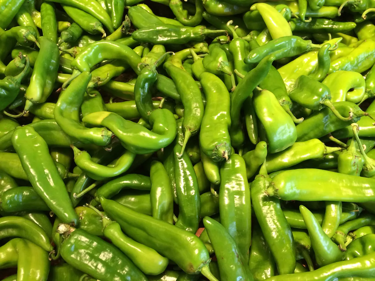 Big Jim Hatch Chile