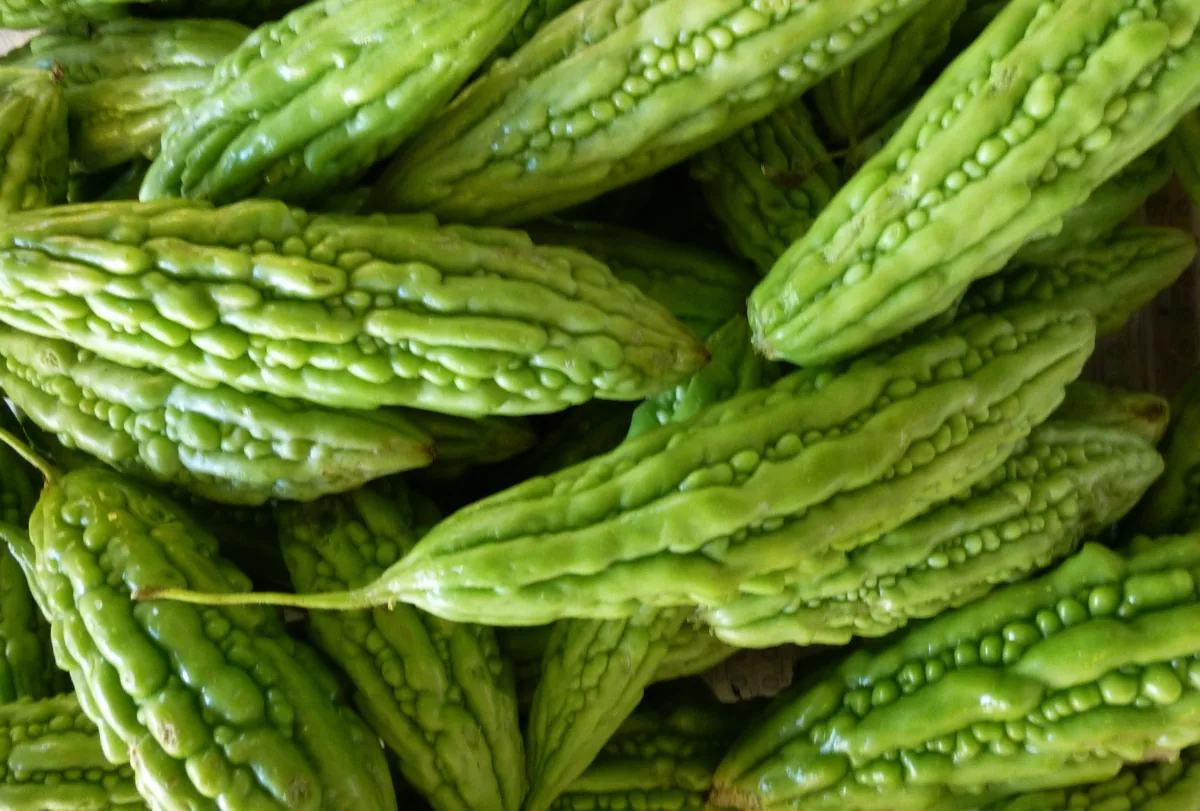 Bitter melons
