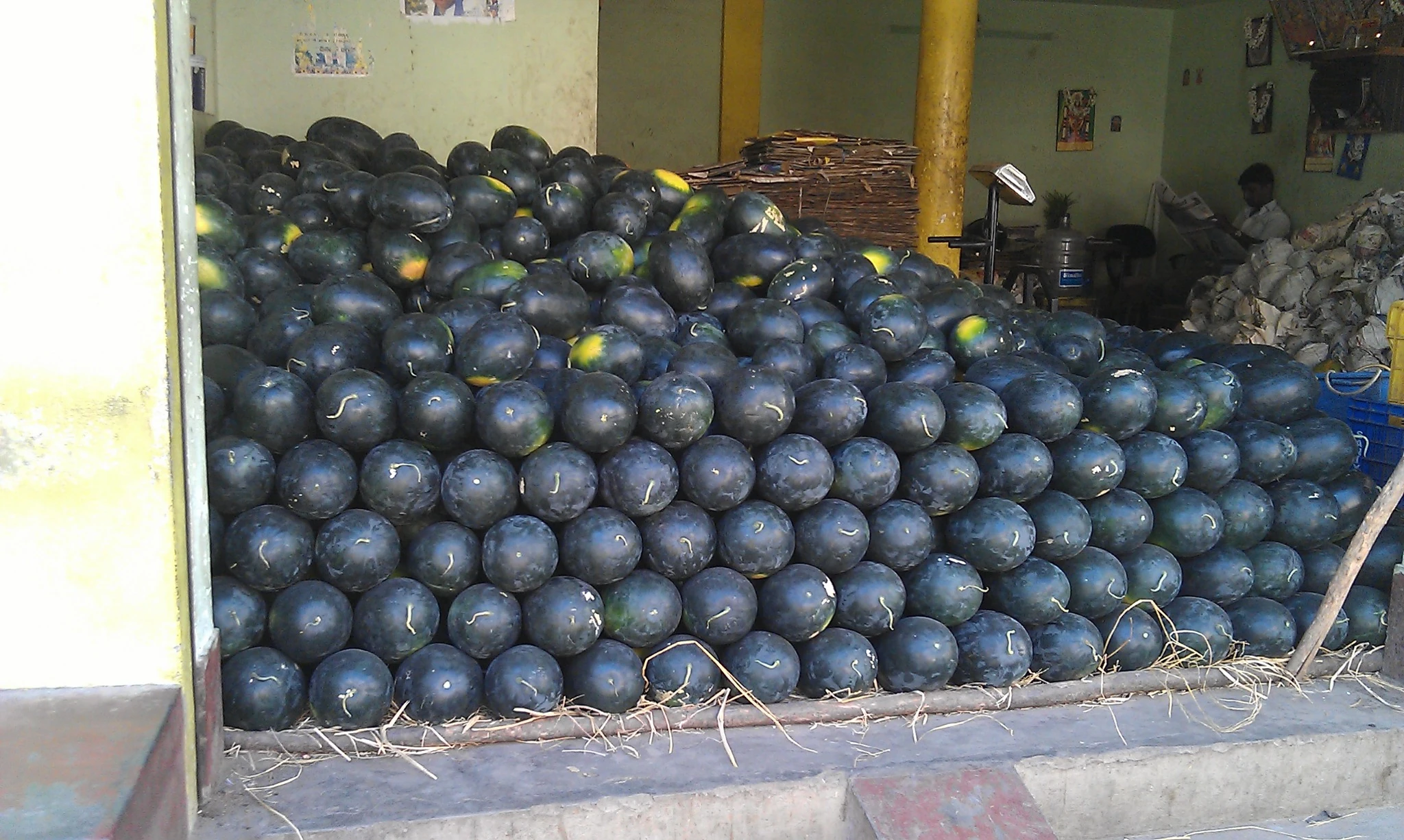 Black Diamond Watermelon