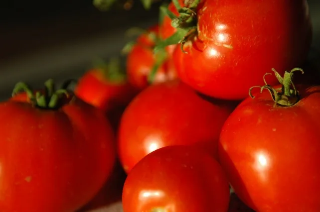 Calypso Tomatoes