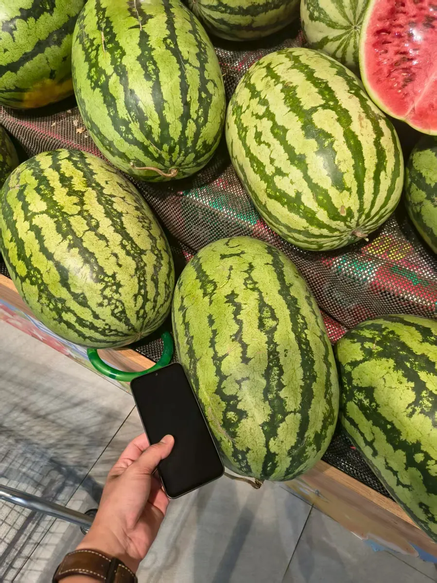 Carolina Cross Watermelon