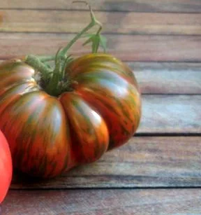 Chocolate Stripes Tomatoes
