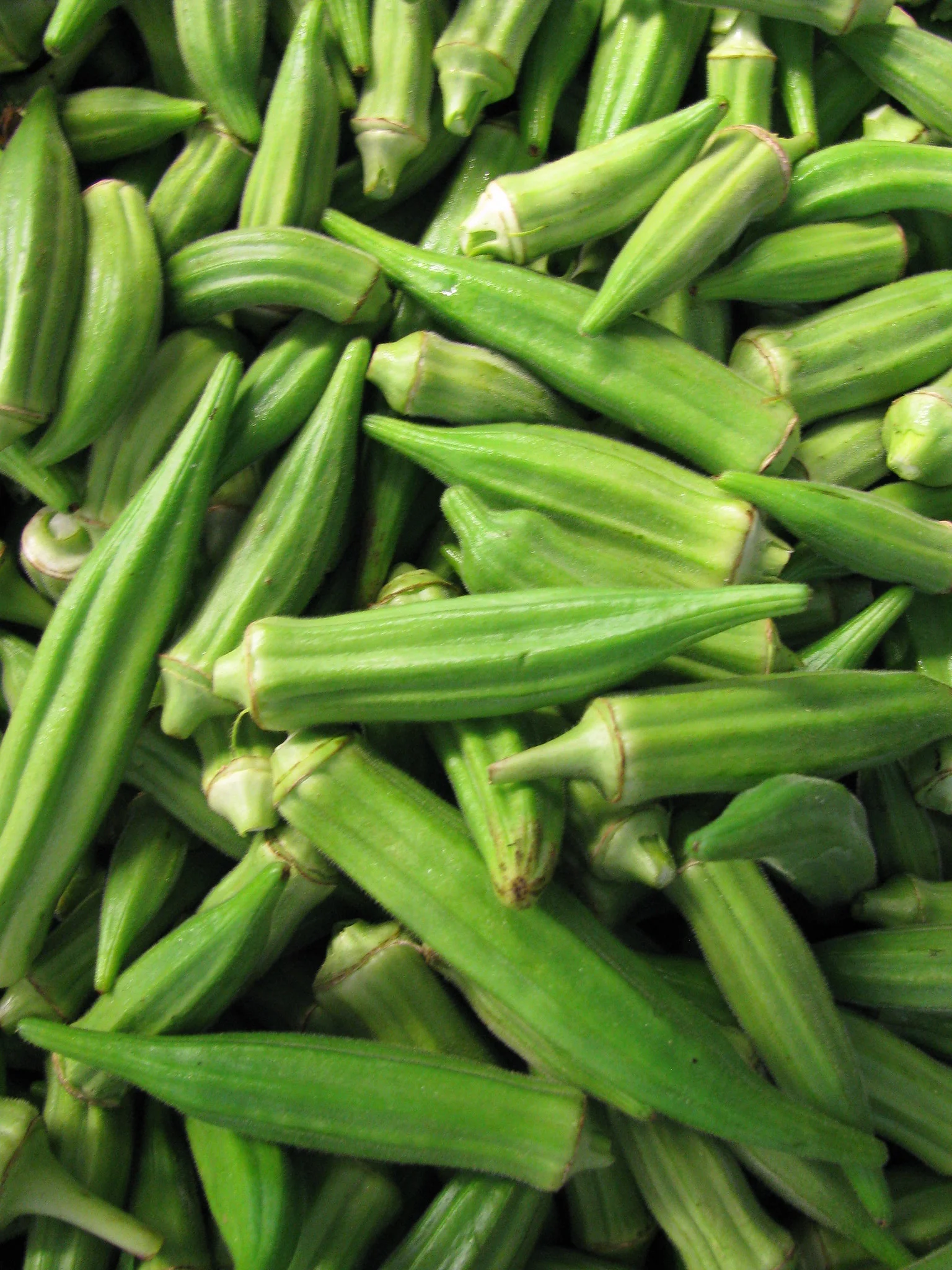 Clemson Spineless Okra