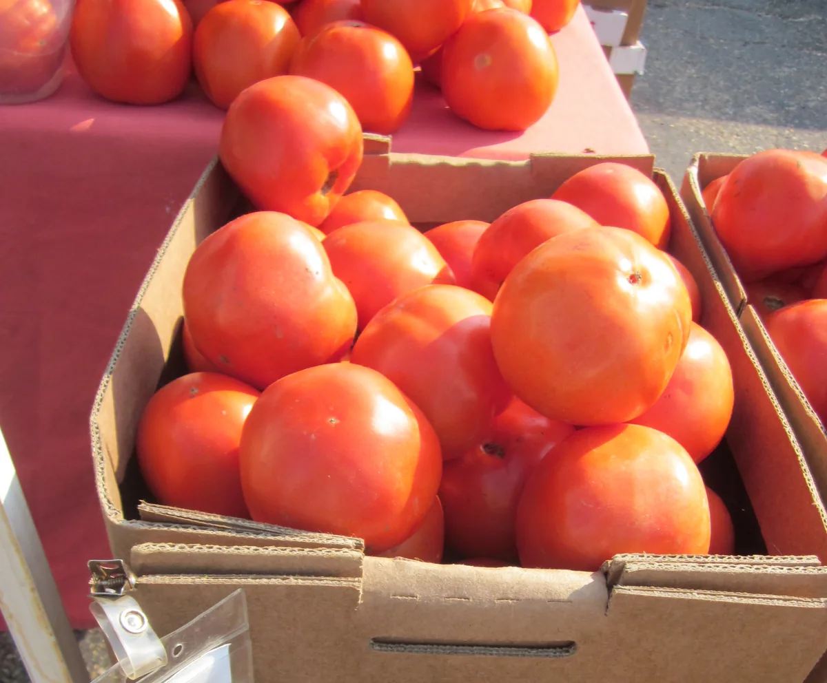 Creole Tomatoes