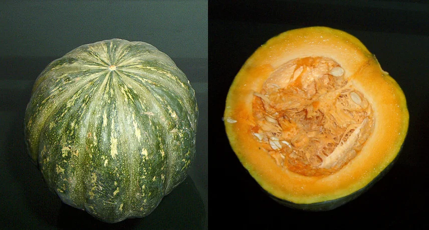 Delica kabocha squash