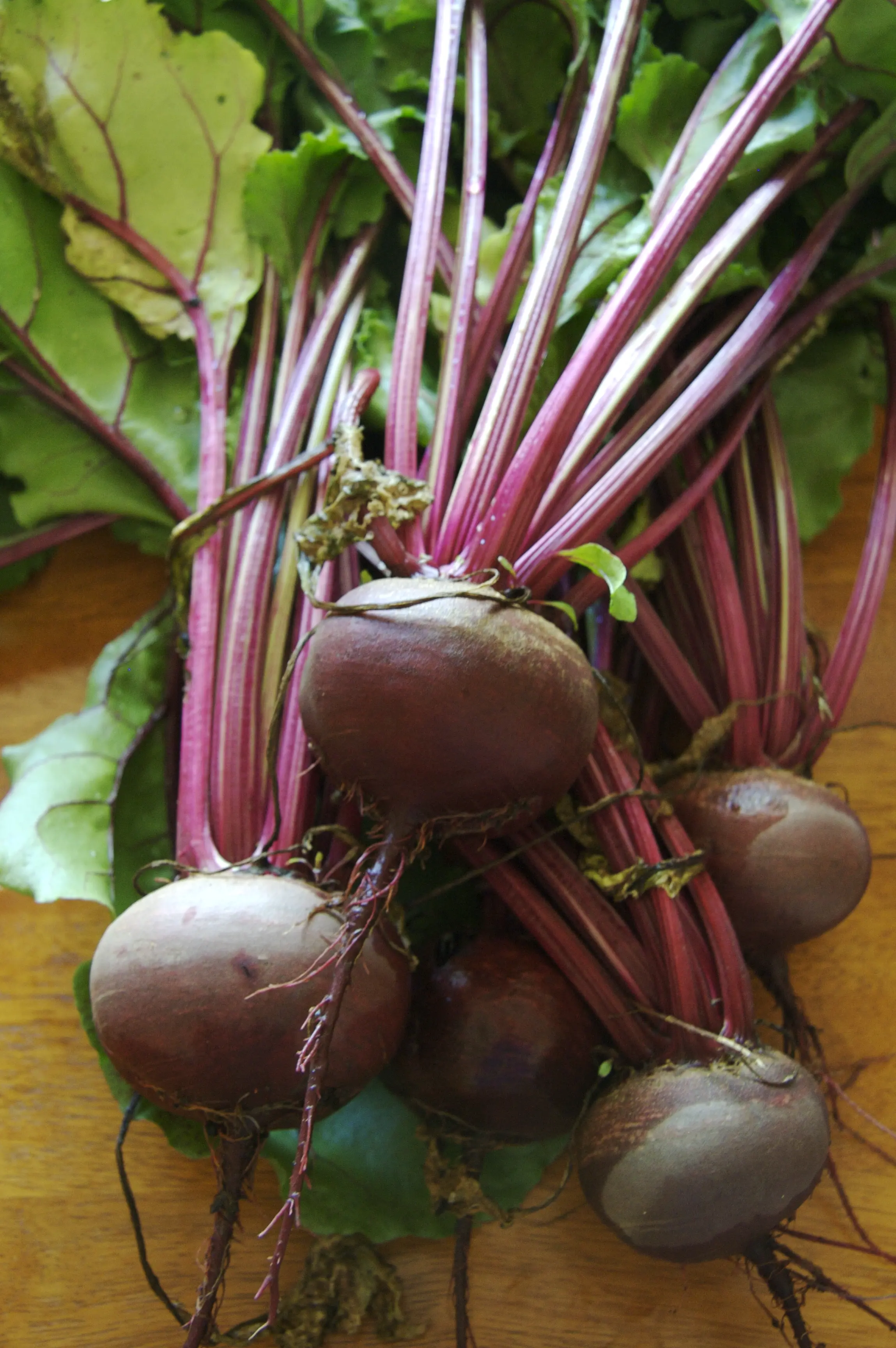 Detroit Dark Red Beet