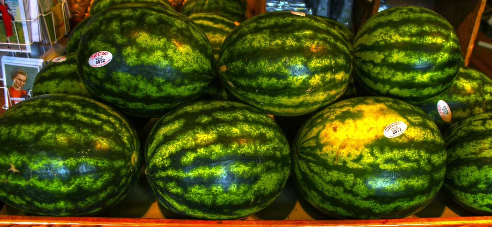 Florida Giant Watermelon