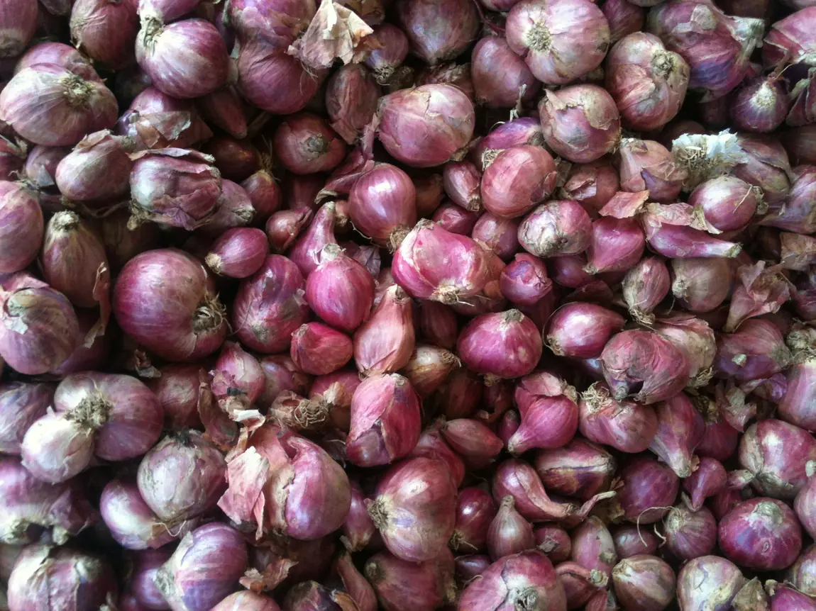 French Red Shallots