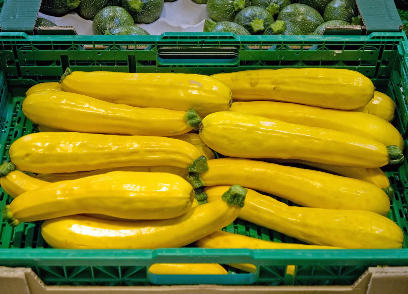 Gold Rush Zucchini