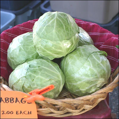 Golden Acre Cabbage