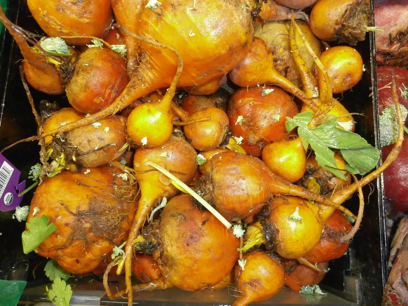 Golden Detroit Beets