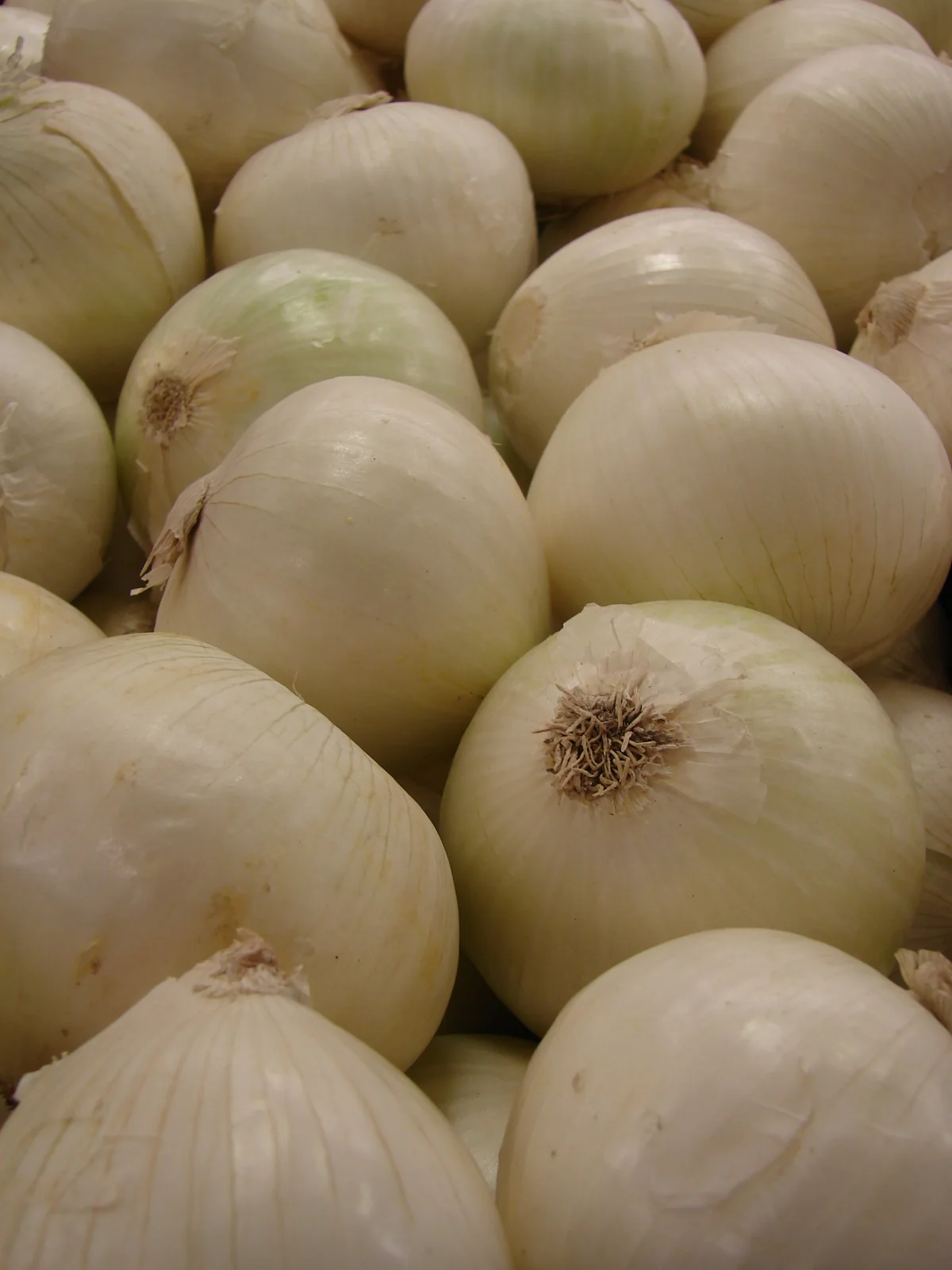 Grano White Onions