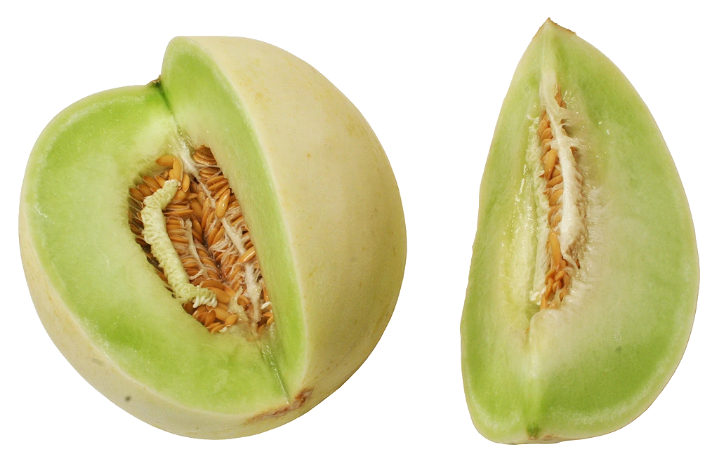 Green Flesh Honeydew Melon