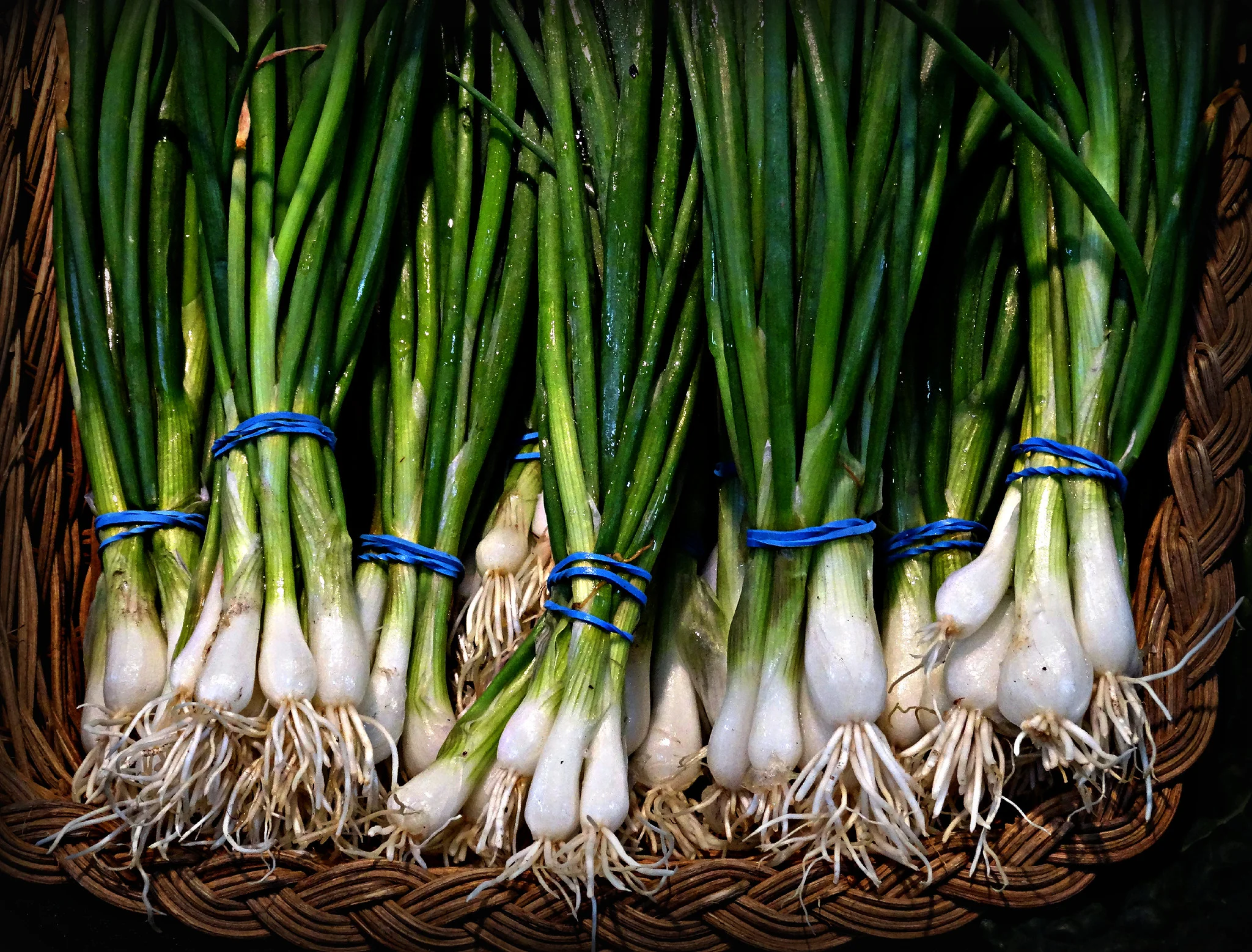 Green Onion
