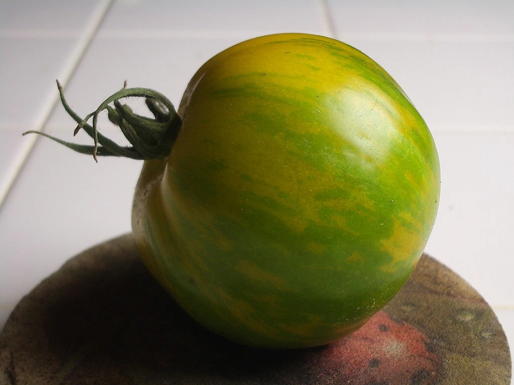 Green Zebra Tomatoes