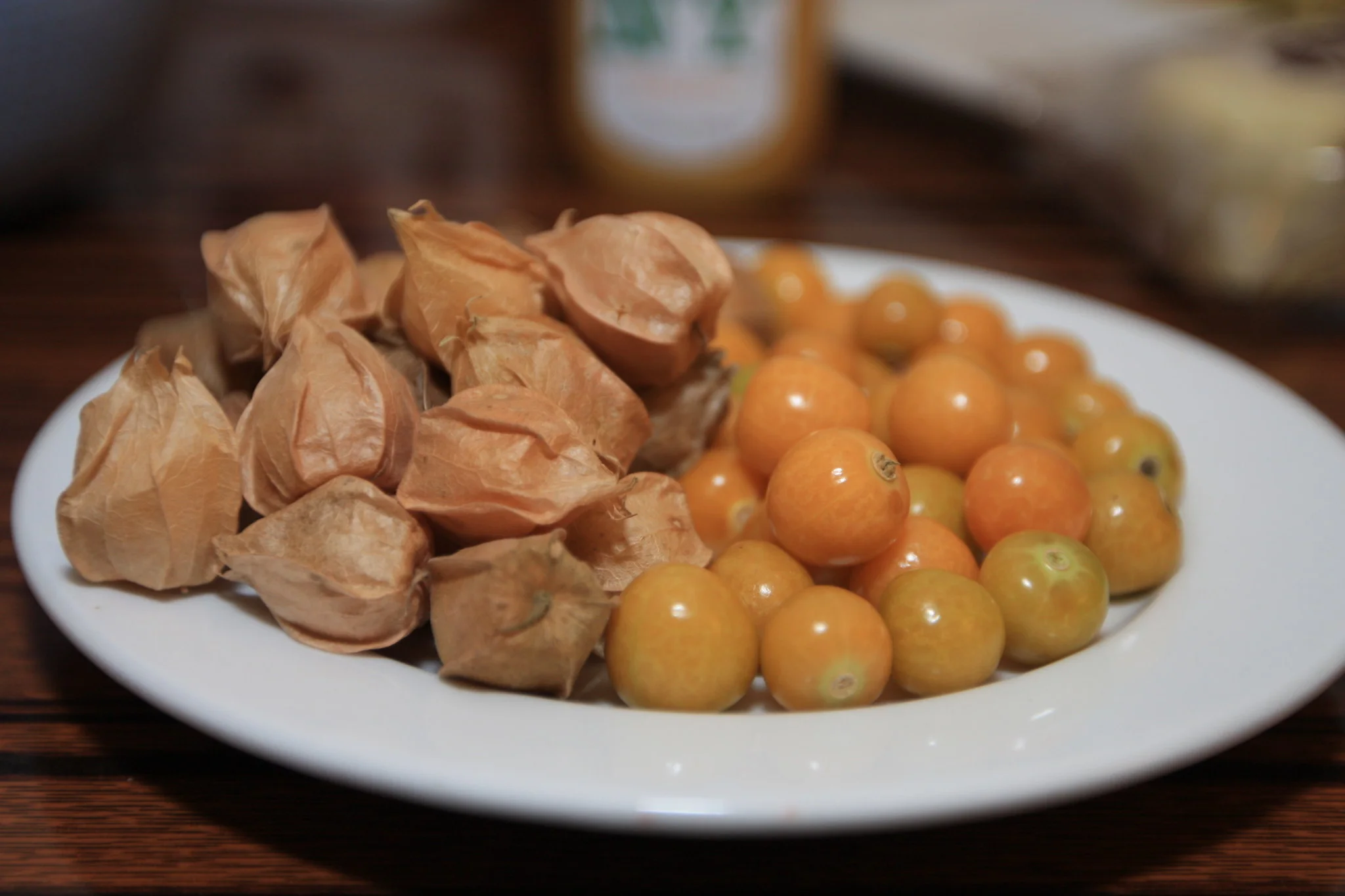 Aunt Molly's Ground Cherry
