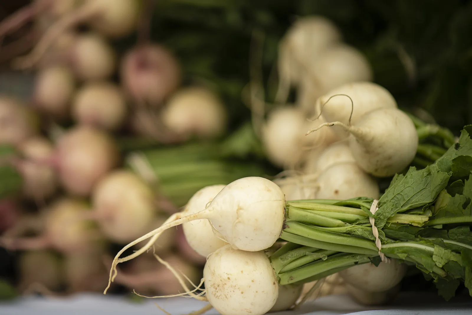 Hailstone Radishes