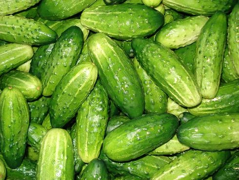 Homemade Pickles Cucumber