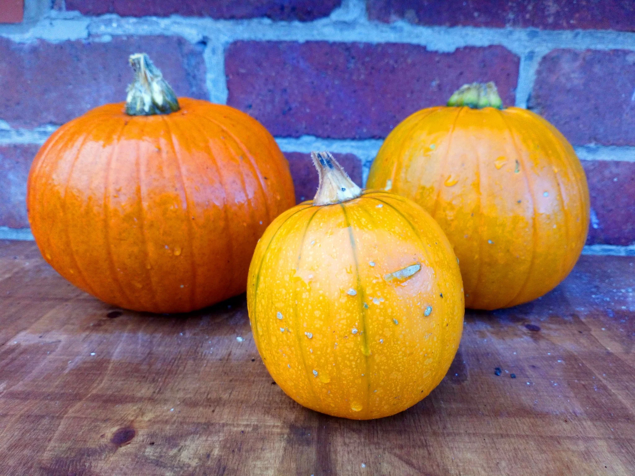 Jack O'Lantern Pumpkin