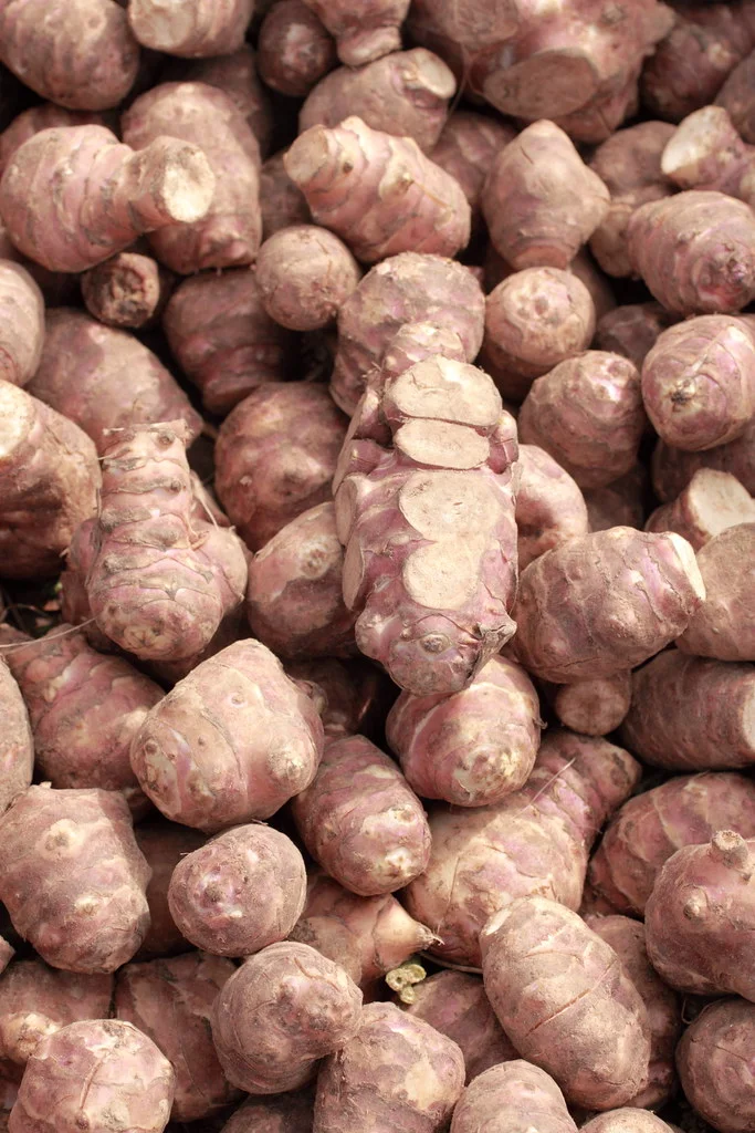 Jerusalem artichoke tubers