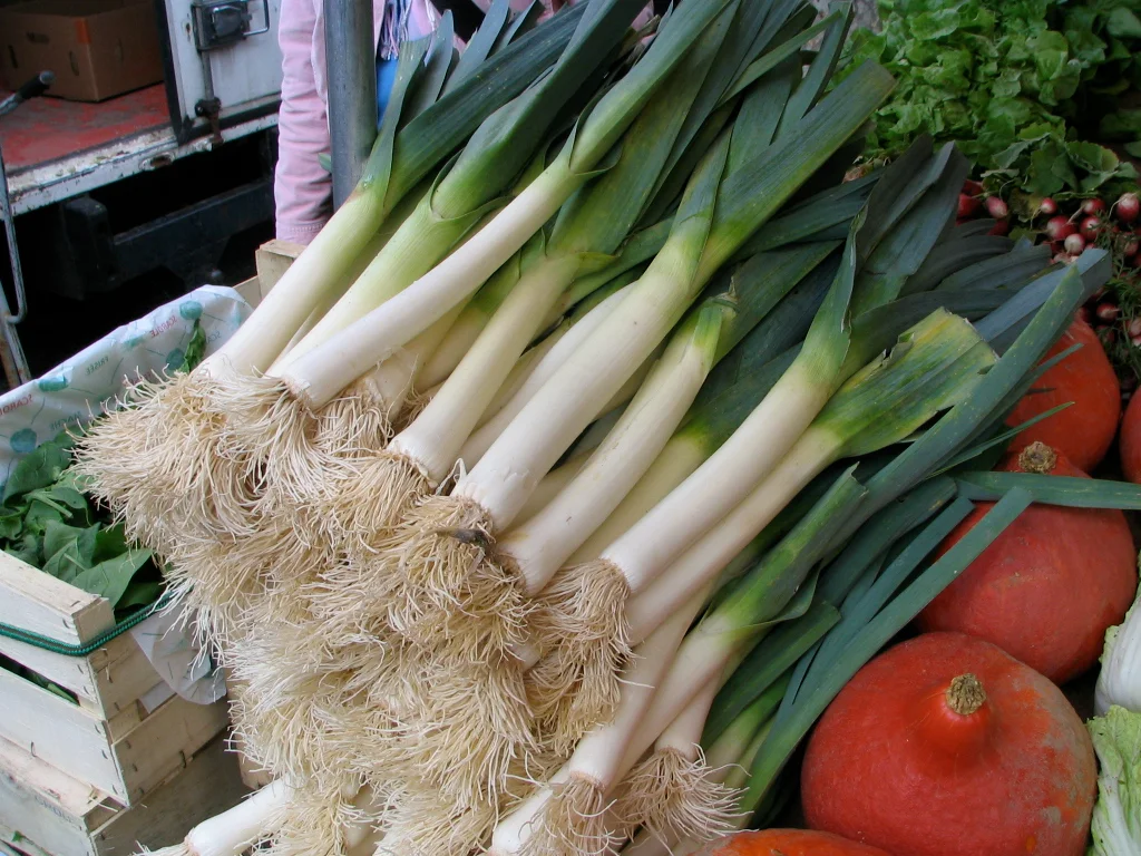 Leek