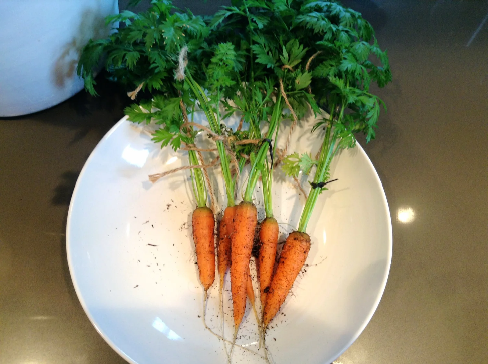 Little Fingers Carrots