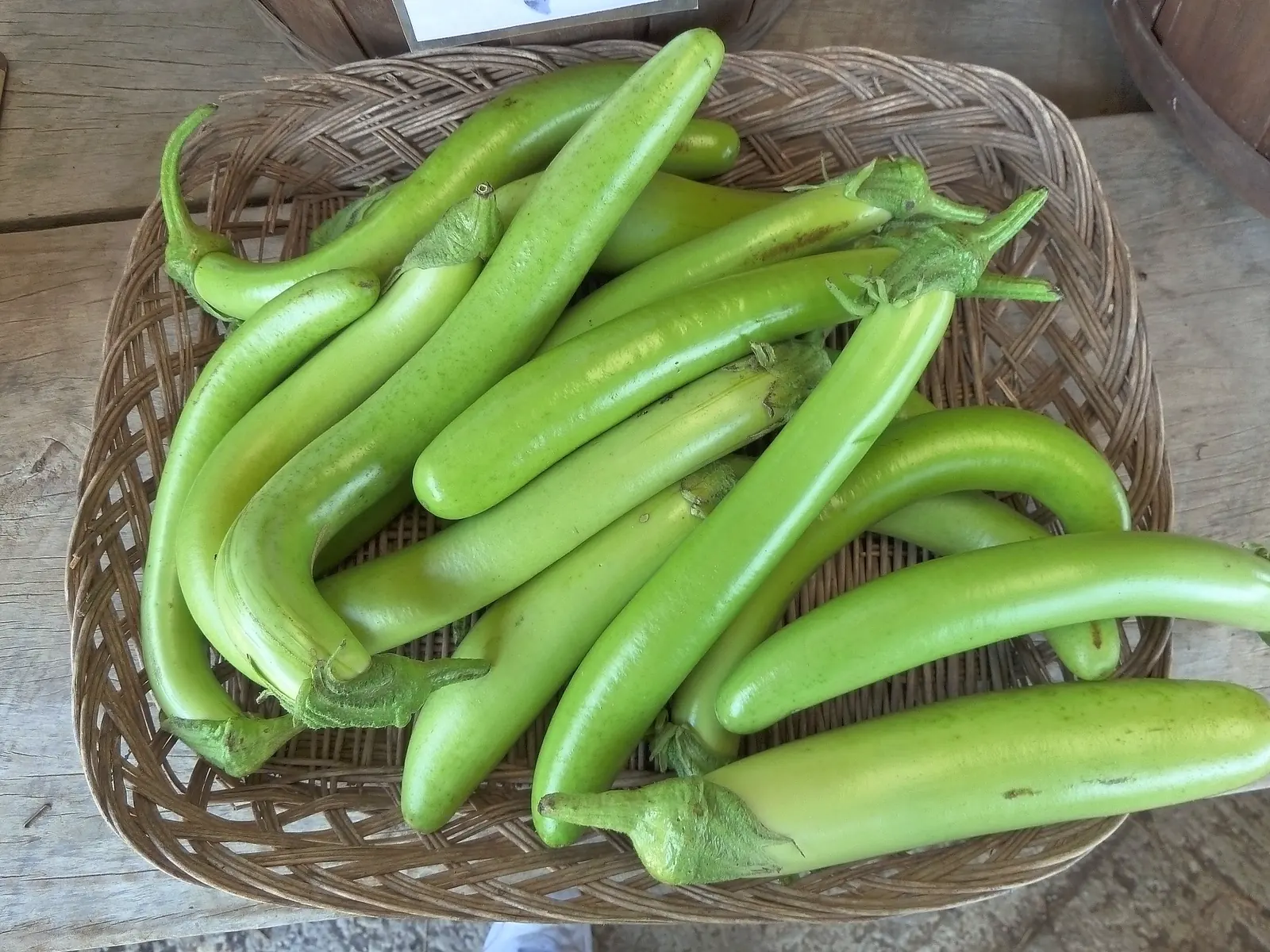 Long Green Louisiana Eggplant