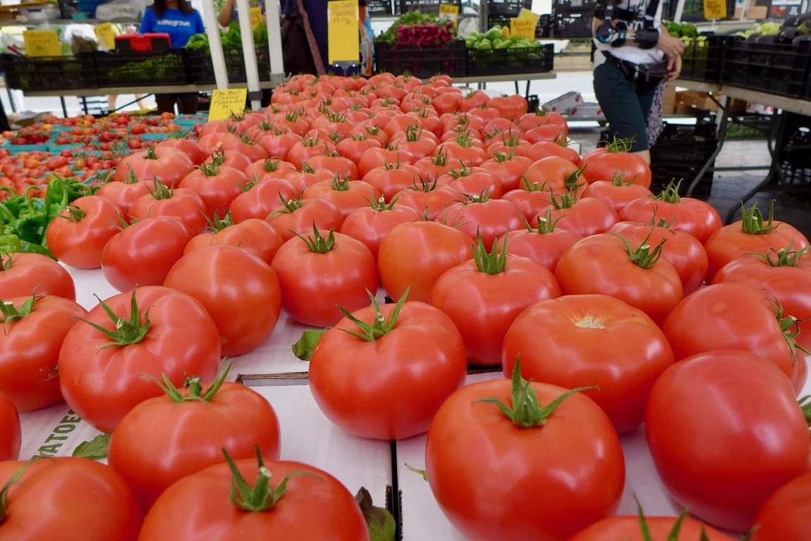 Marglobe Supreme Tomatoes