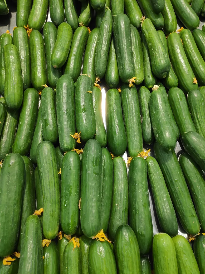 Marketer Cucumber