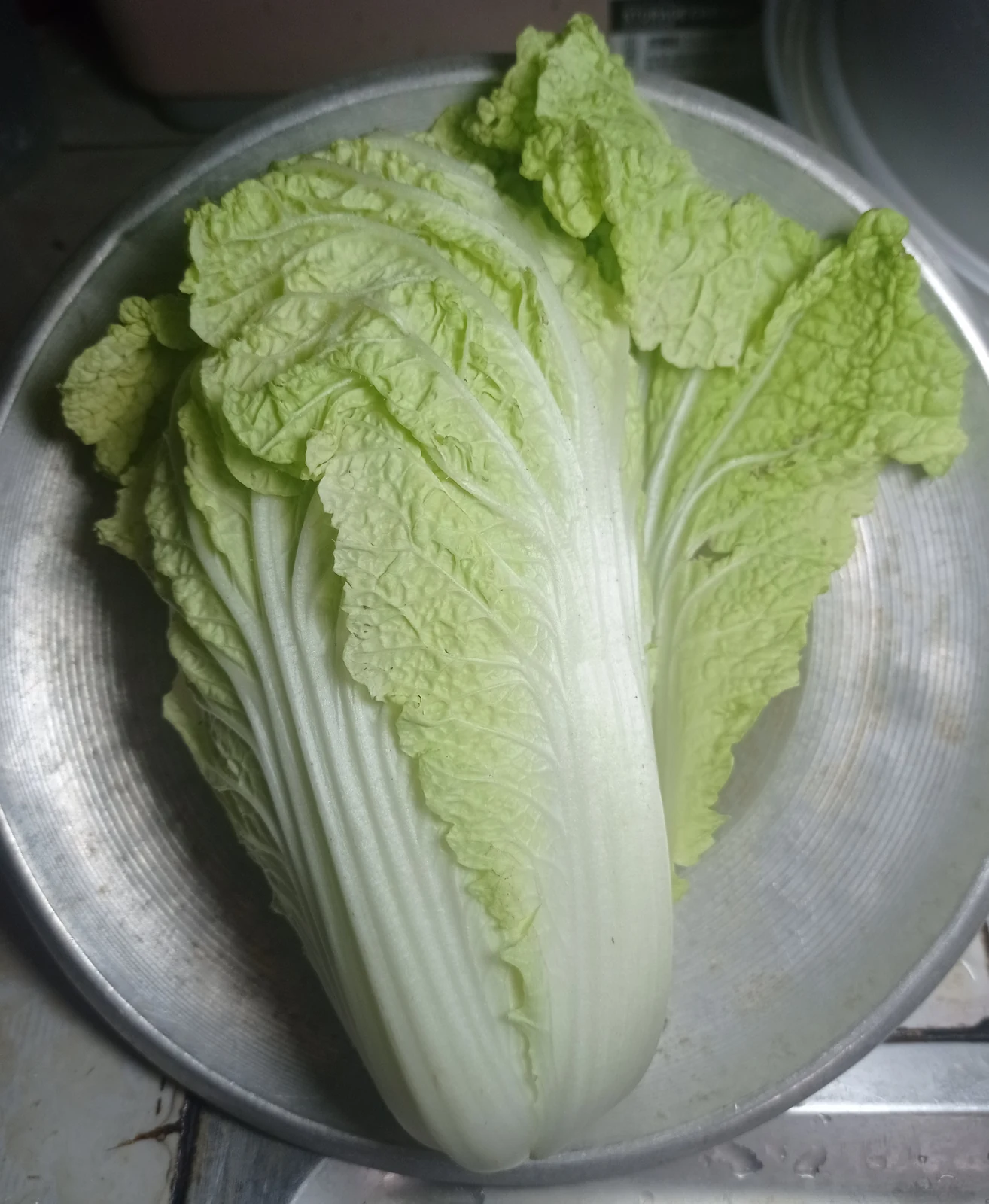 Michihili Cabbage