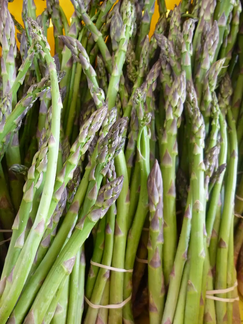 Millennium Asparagus