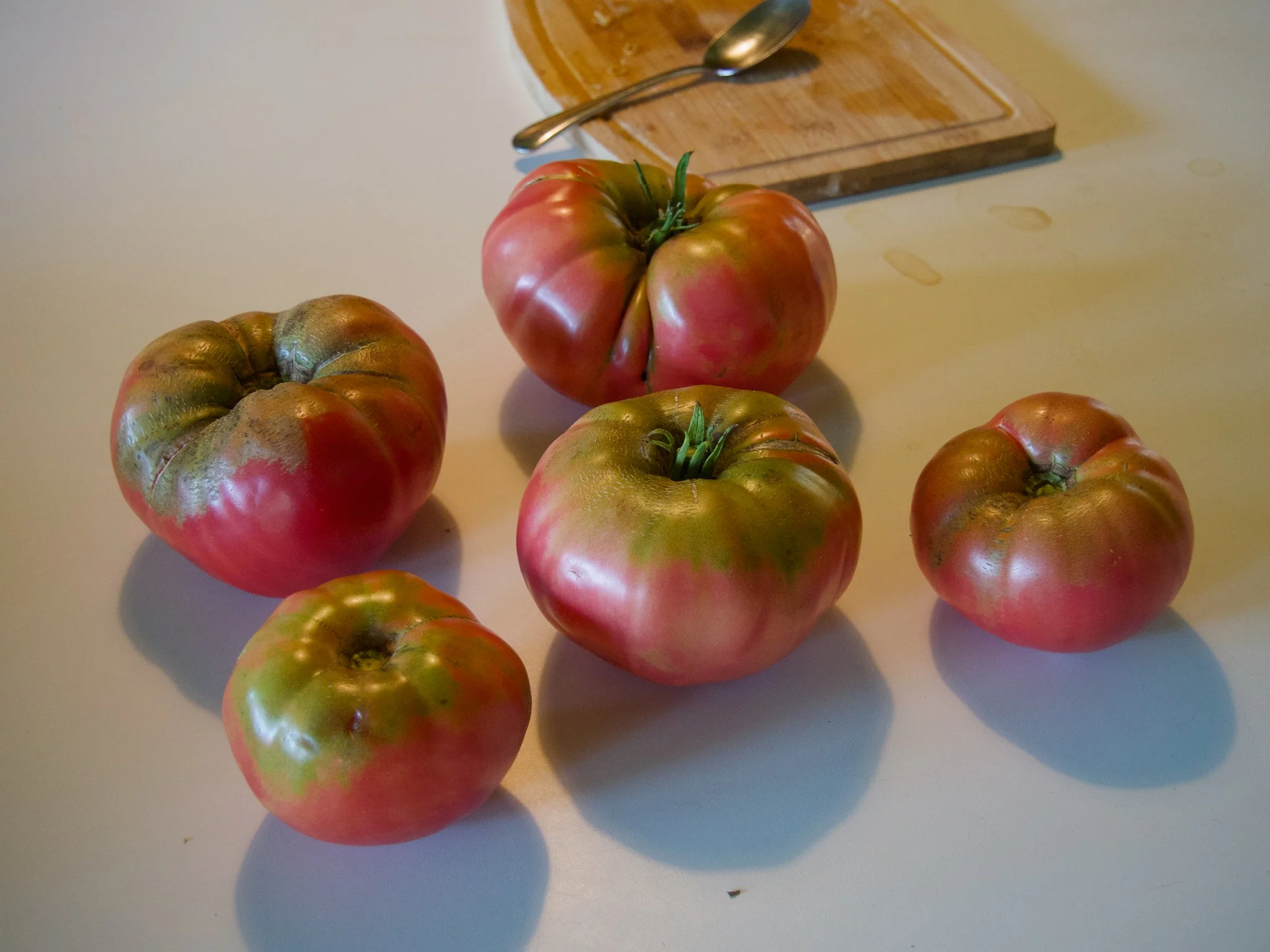 Mortgage Lifter Tomatoes