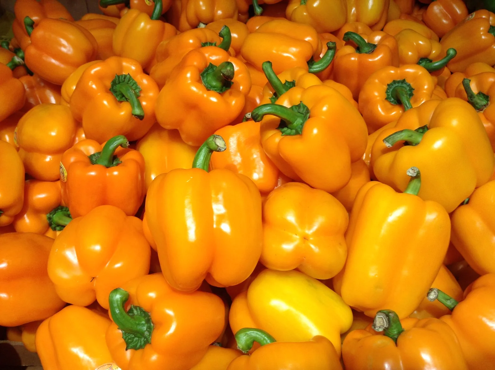 Orange Horizon Sweet Peppers