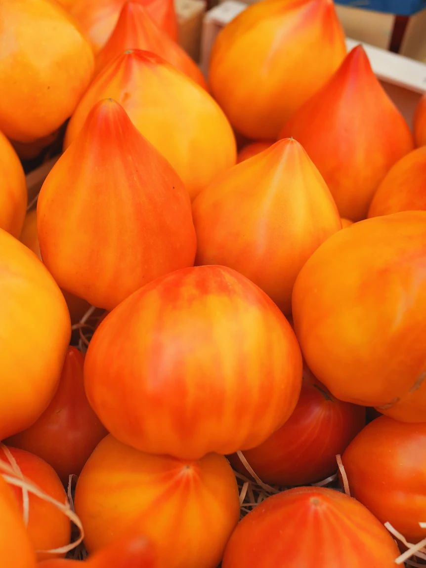 Orange Oxheart Tomatoes