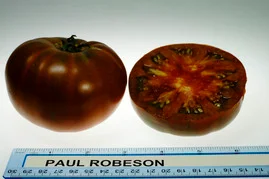 Paul Robeson tomatoes