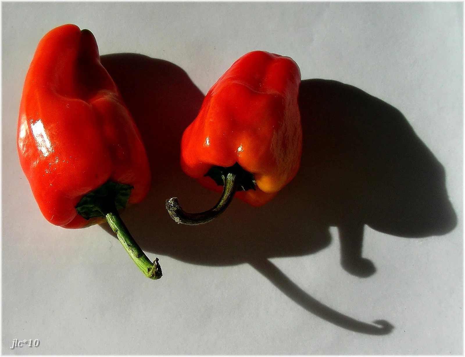 Pimento Sweet Peppers