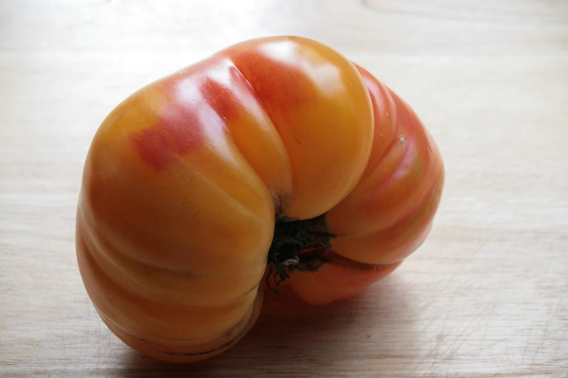 Pineapple Tomatoes