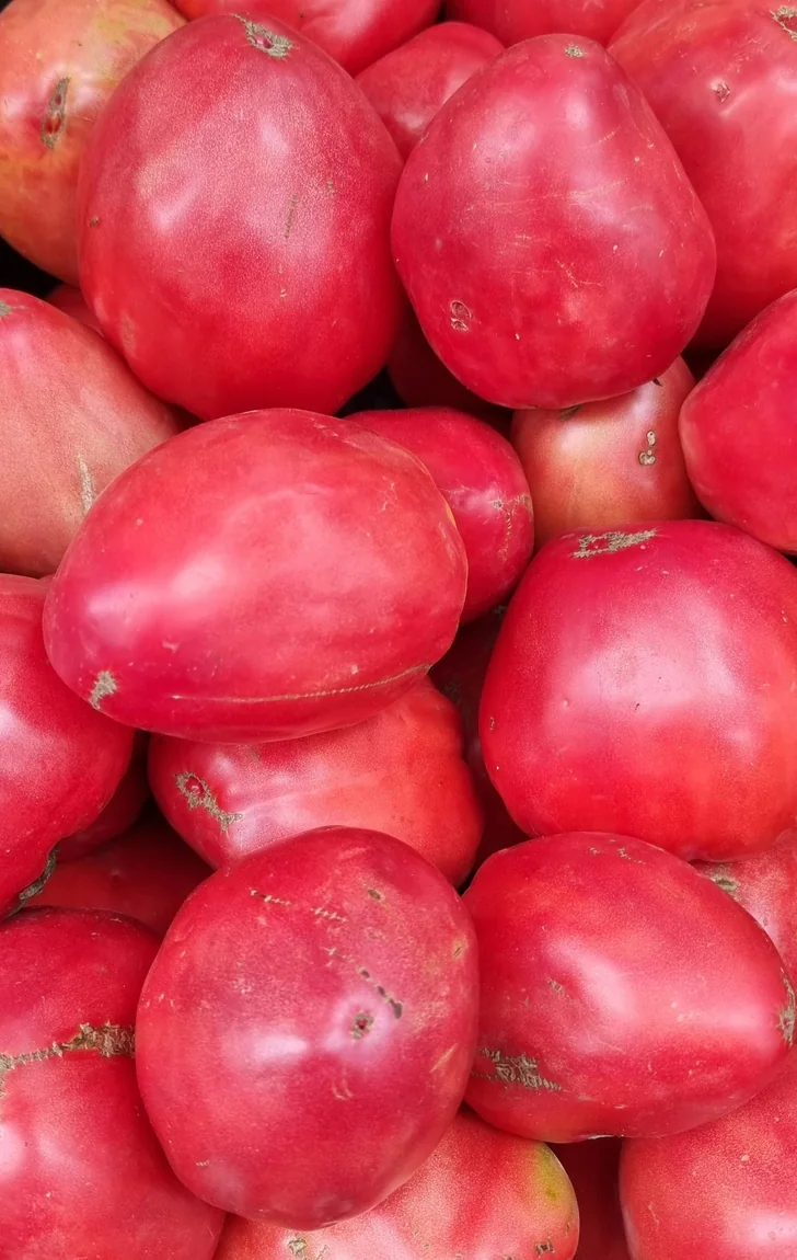 Pink Oxheart Tomatoes
