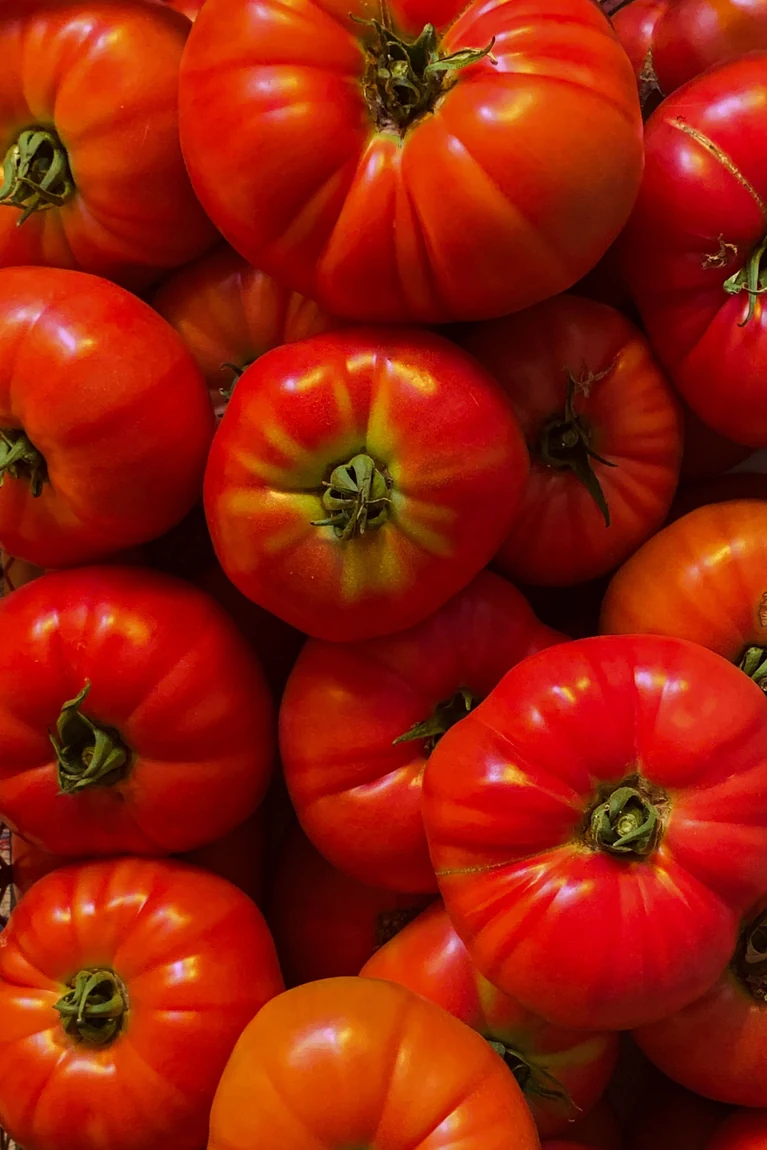Ponderosa Red Beefsteak Tomatoes