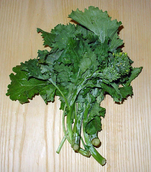 Rapini Broccoli Raab