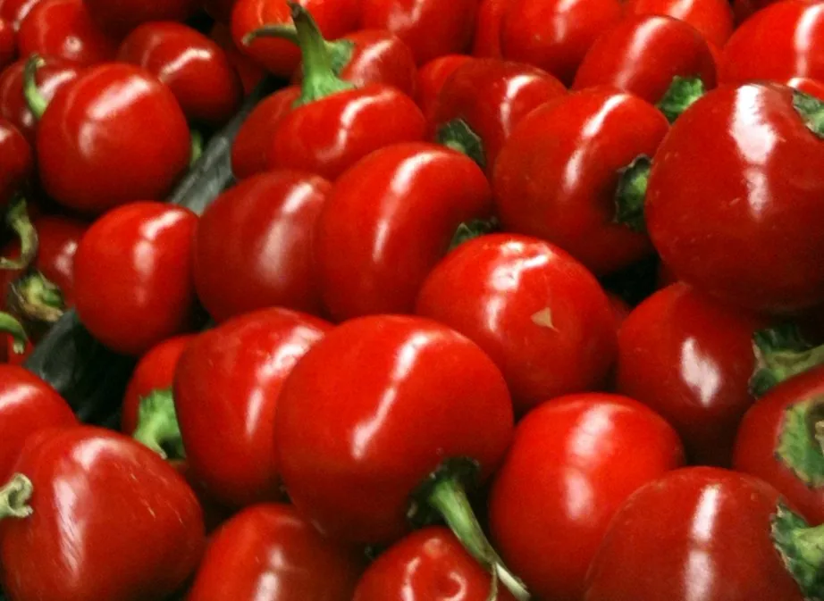 Red Cherry Hot Peppers