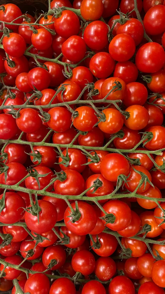Red Robin Tomatoes