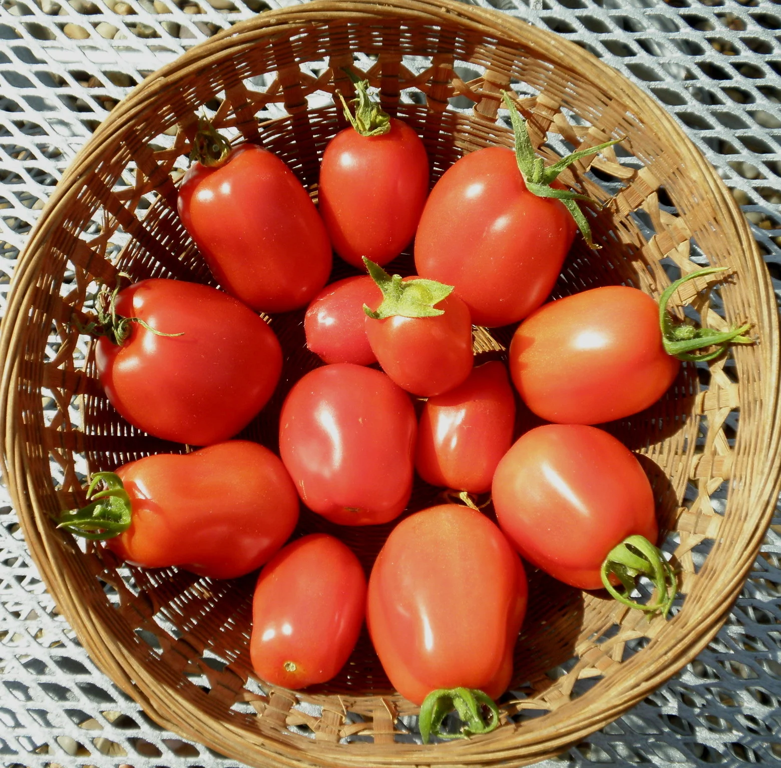 Roma VF Tomatoes