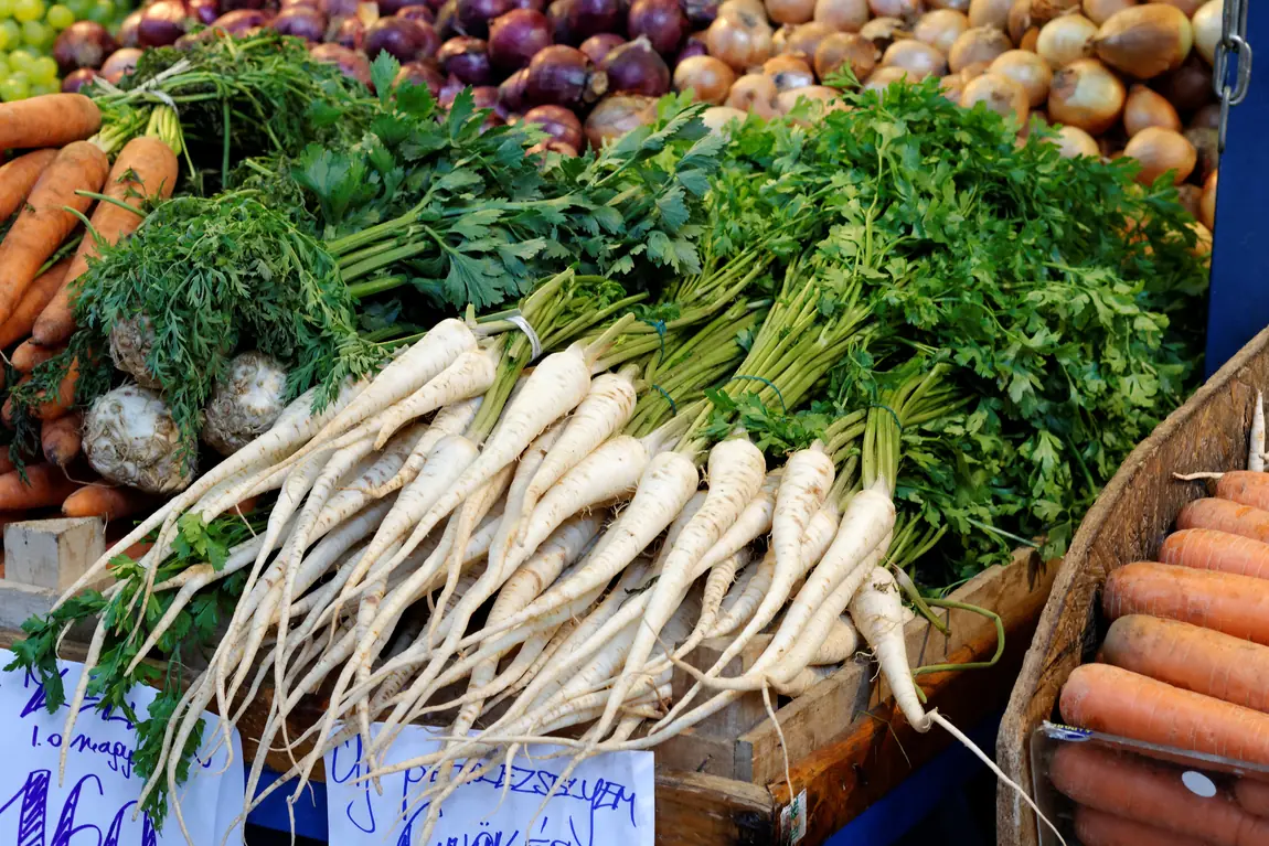 Hamburg Rooted Parsley