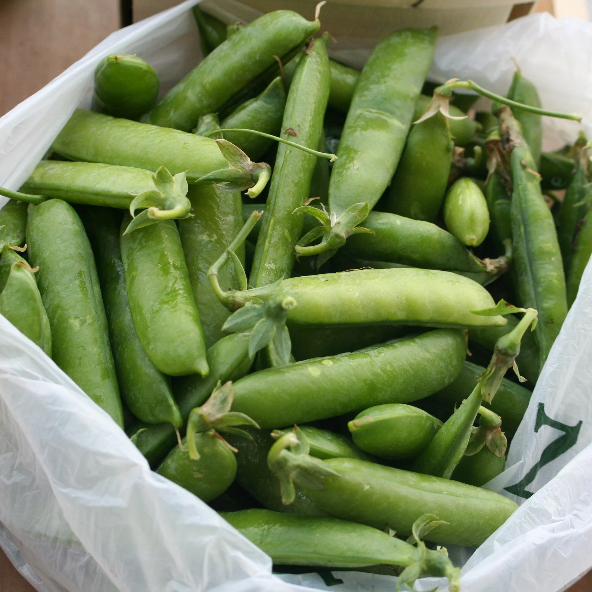 Shelling Pea