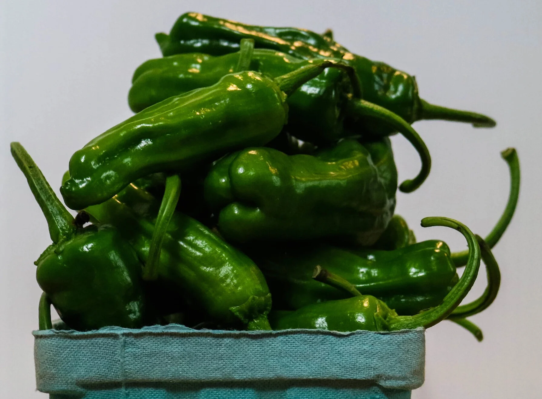 Shishito Peppers