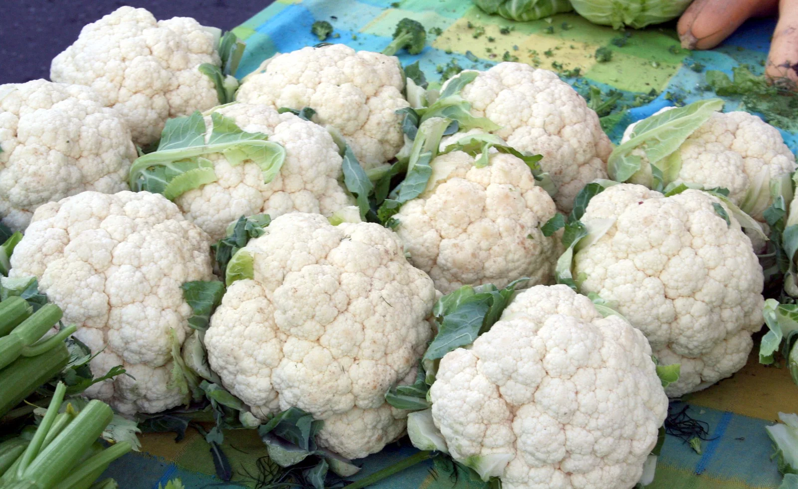 Snowball Self-Blanche Cauliflower