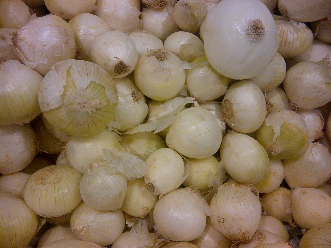 Spanish Sweet White Onions